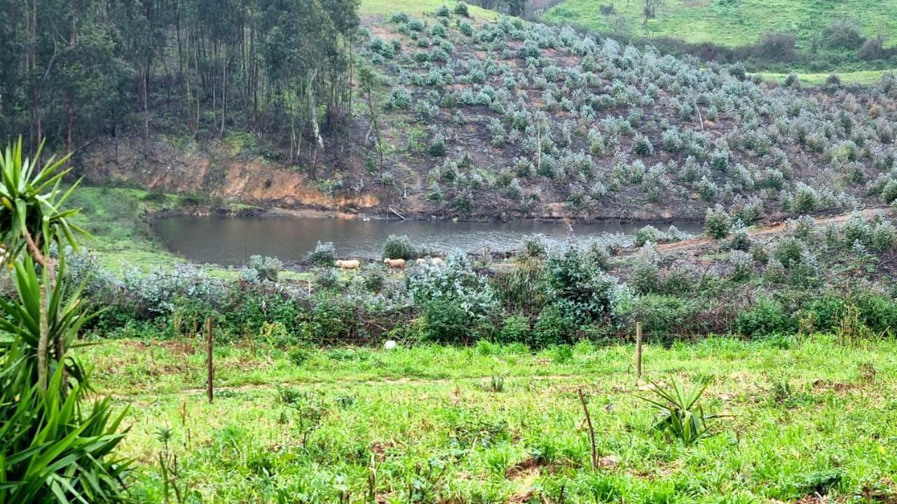מלון Cercal do Alentejo Refugio Do Bem Estar מראה חיצוני תמונה