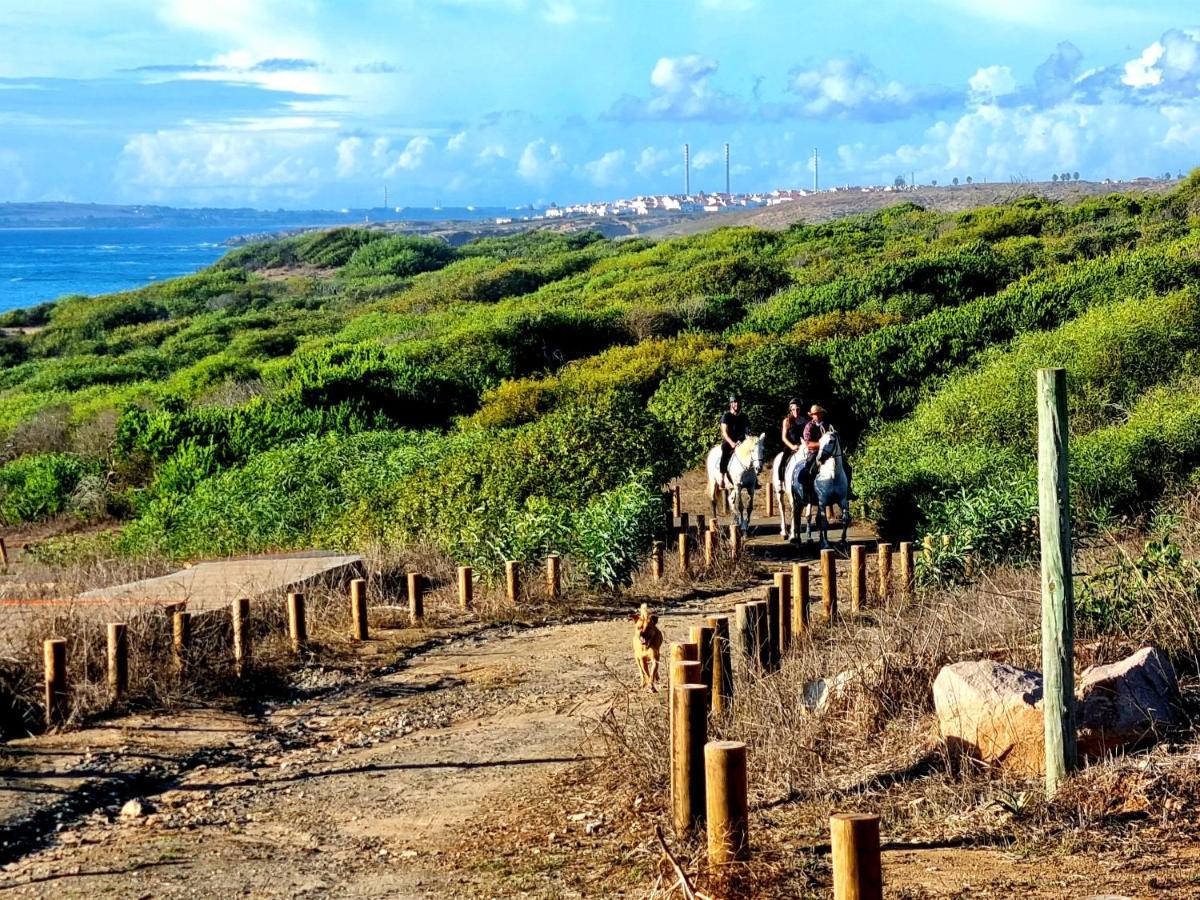 מלון Cercal do Alentejo Refugio Do Bem Estar מראה חיצוני תמונה